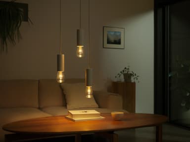 Philips Hue Lightguide LED lyspære 6,8 W E27