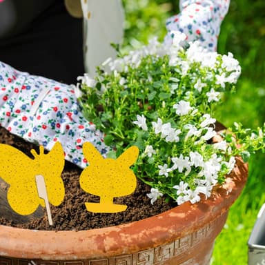 Klistrefelle mot bananfluer og skadedyr på potteplanter 60-pak Gul