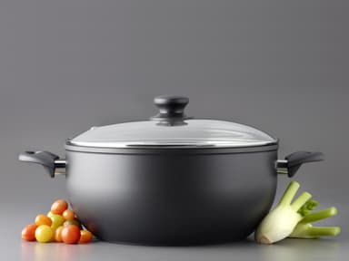 Funktion Stekegryte 8,3 liter