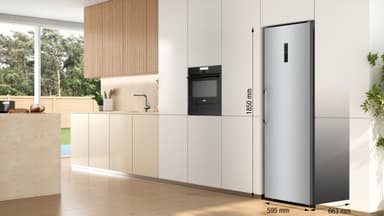 Gorenje Fryseskap FN619DAXL6
