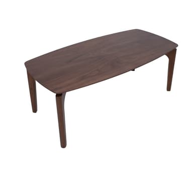Salongbord HAYDIE 120x60xH45cm, valnøtt