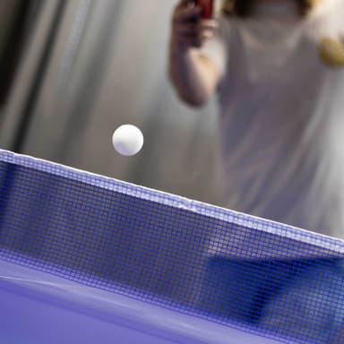Prosport Bordtennisbord Elite