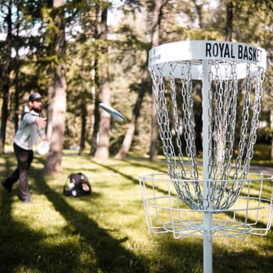 Viking Discs Royal basket Frisbeegolfkurv