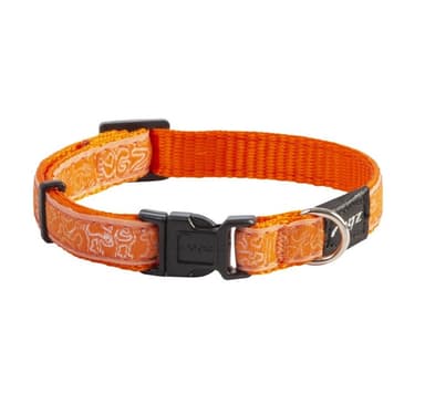 Fancy dress krage beach bum l oransje doodle 20mm/34-56cm, Rogz