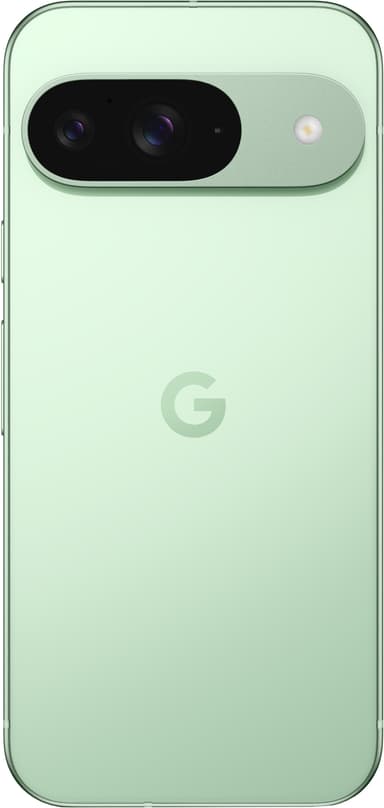 Google Pixel 9 5G smarttelefon 12/256 GB (wintergreen)