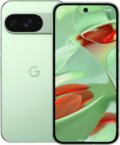 Google Pixel 9 5G smarttelefon 12/128 GB (wintergreen)