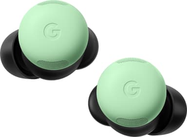 Wintergreen