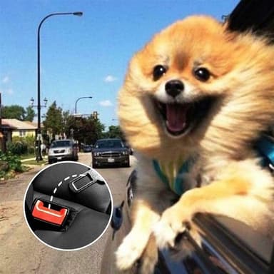 Hundebelte Elastisk bilbelte alle hunderaser (svart)