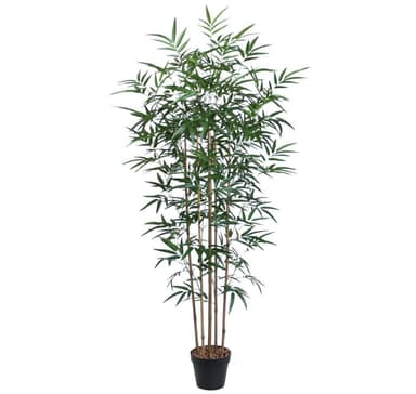Grønn plante BAMBUS H150cm