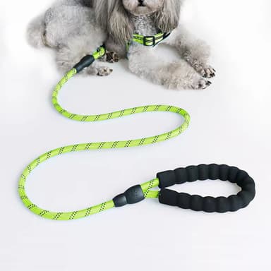 Nylon hundebånd med 1,5 meter (grønn)