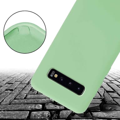Deksel Samsung Galaxy S10 PLUS med Halskjede (grønn)