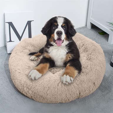 Hundeseng Kattesengepute Hundekattsofa 60cm (beige)