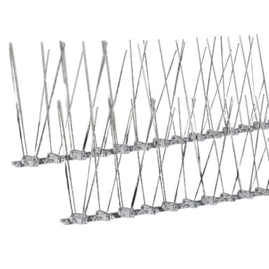 Fuglepigger - ikke flere fuglereir og 10 pigger