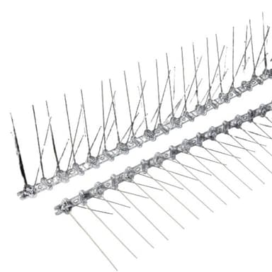 Fuglepigger - ikke flere fuglereir og 10 pigger