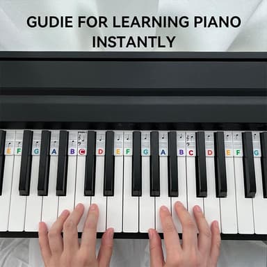 Avtakbare note-etiketter til piano og keyboard, 61 tangenter Flerfarget