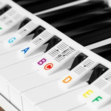 Avtakbare note-etiketter til piano og keyboard, 61 tangenter Flerfarget