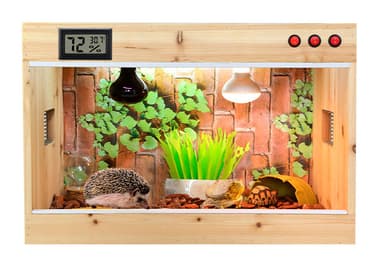 Hygrometer / Termometer i lite format