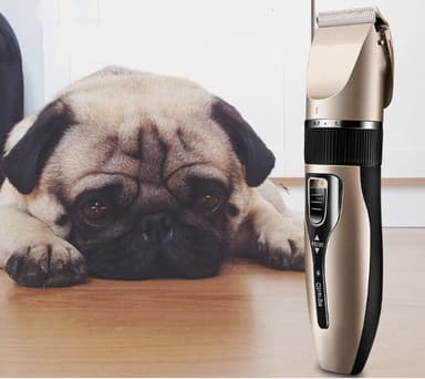 Stillegående pelstrimmer for hund, med tilbehør Champagne
