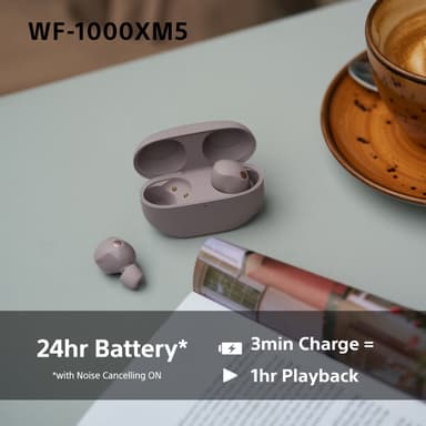 Sony WF1000XM5P helt trådløse in-ear hodetelefoner (smoky pink)