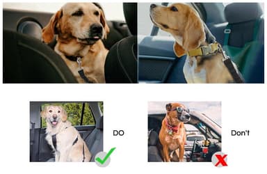 Justerbart sikkerhetsbelte for hund Svart
