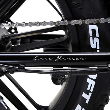 Hygge Vester 2024 Folding Electric Bike, 20 Inch Fat tyres ebike