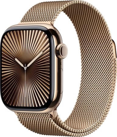 Apple Watch S10 42mm GPS+Cel (Gulltitan/Gull Milanese Loop)