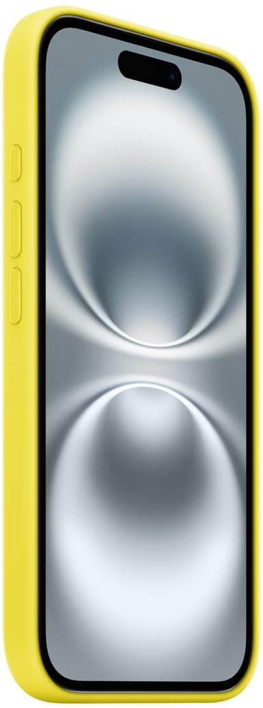 Apple iPhone 16 mobildeksel (stjernefrukt)
