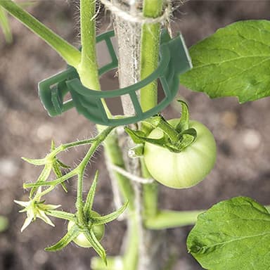 Klips for å støtte planter / espalier 100-pakning Grønn