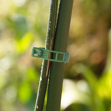 Klips for å støtte planter / espalier 100-pakning Grønn