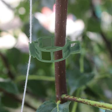 Klips for å støtte planter / espalier 100-pakning Grønn