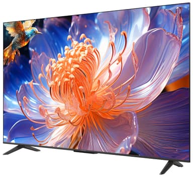 iFFALCON 55" U64 4K  TV (2024)