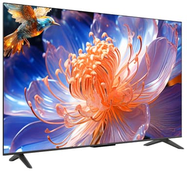 iFFALCON 50" U64 4K  TV (2024)