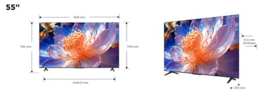 iFFALCON 55" U64 4K  TV (2024)
