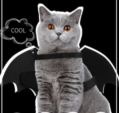 Halloween-kostyme Batman til hund/katt (størrelse L)