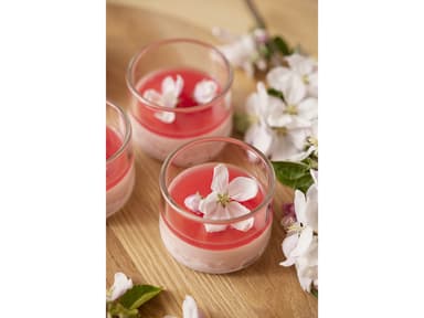 Blomsterbergs Dessert glass Dia 8 x 6 cm 4 pcs Clear