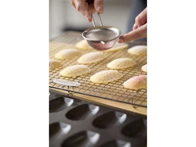 Blomsterbergs Cooling rack 43 x 37 x 3,4 cm Steel