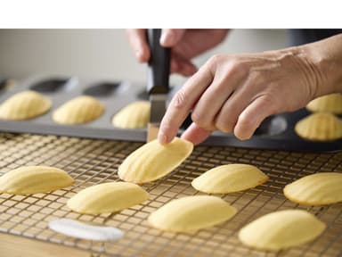 Blomsterbergs Cooling rack 43 x 37 x 3,4 cm Steel