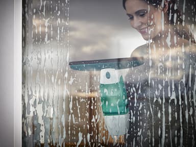 Leifheit Dry&Clean Vinduesvasker grøn