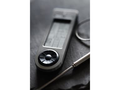 Rösle Roast thermometer 14.5 x 5 x 2 cm Steel
