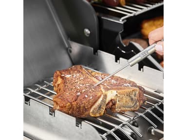 Rösle Gourmet Thermometer 22 cm Steel