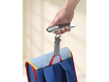 Soehnle Travel Luggage scale Grå