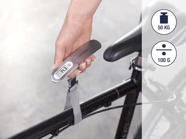 Soehnle Travel Luggage scale Grå
