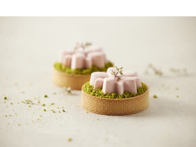 Blomsterbergs Flower Muffin mould 6 pcs Grey