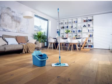 Leifheit PowerClean M Mop telescopic handle