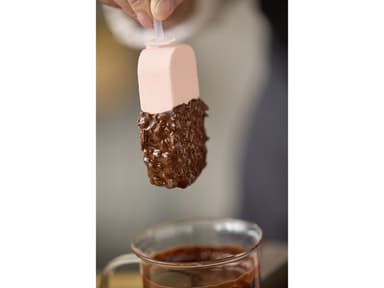 Blomsterbergs Classic popsicle mould with 4 pcs Latte