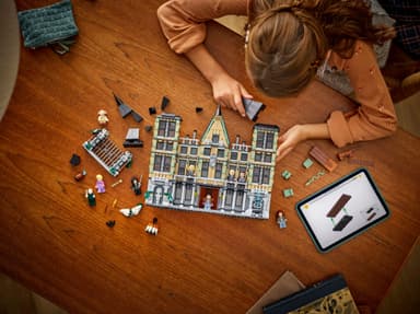 LEGO Harry Potter Malfanghus 76453