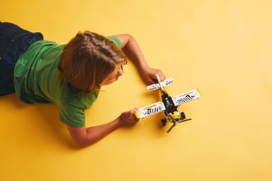 LEGO Technic Villmarksfly 42198