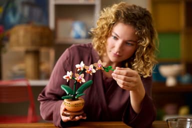LEGO Botanicals Miniatyrorkidé 10343
