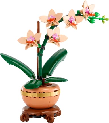 LEGO Botanicals Miniatyrorkidé 10343