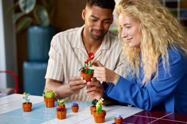 LEGO Botanicals Miniatyrplanter 10329